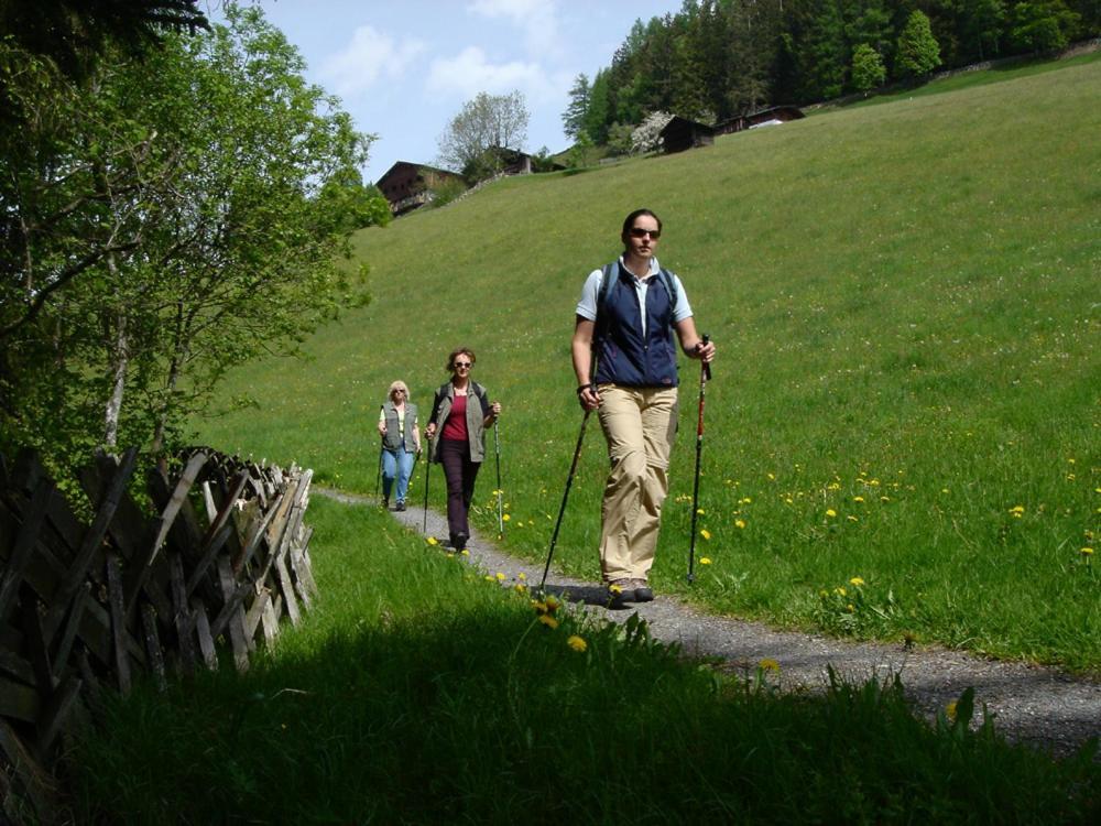 Hotel Gasthof Kroell - Inkl Nationalpark-Karte, 1 X Grossglockner Hochalpenstrasse Kostenlos, 1X Gerlos Alpenstrasse Kostenlos, Krimmler Wasserfaelle Kostenlos, Verschiedene Bergbahnen Kostenlos, Badesee Kostenlos, Bus & Zug Kostenlos, Genusskueche, นีเดิร์นซิลล์ ภายนอก รูปภาพ