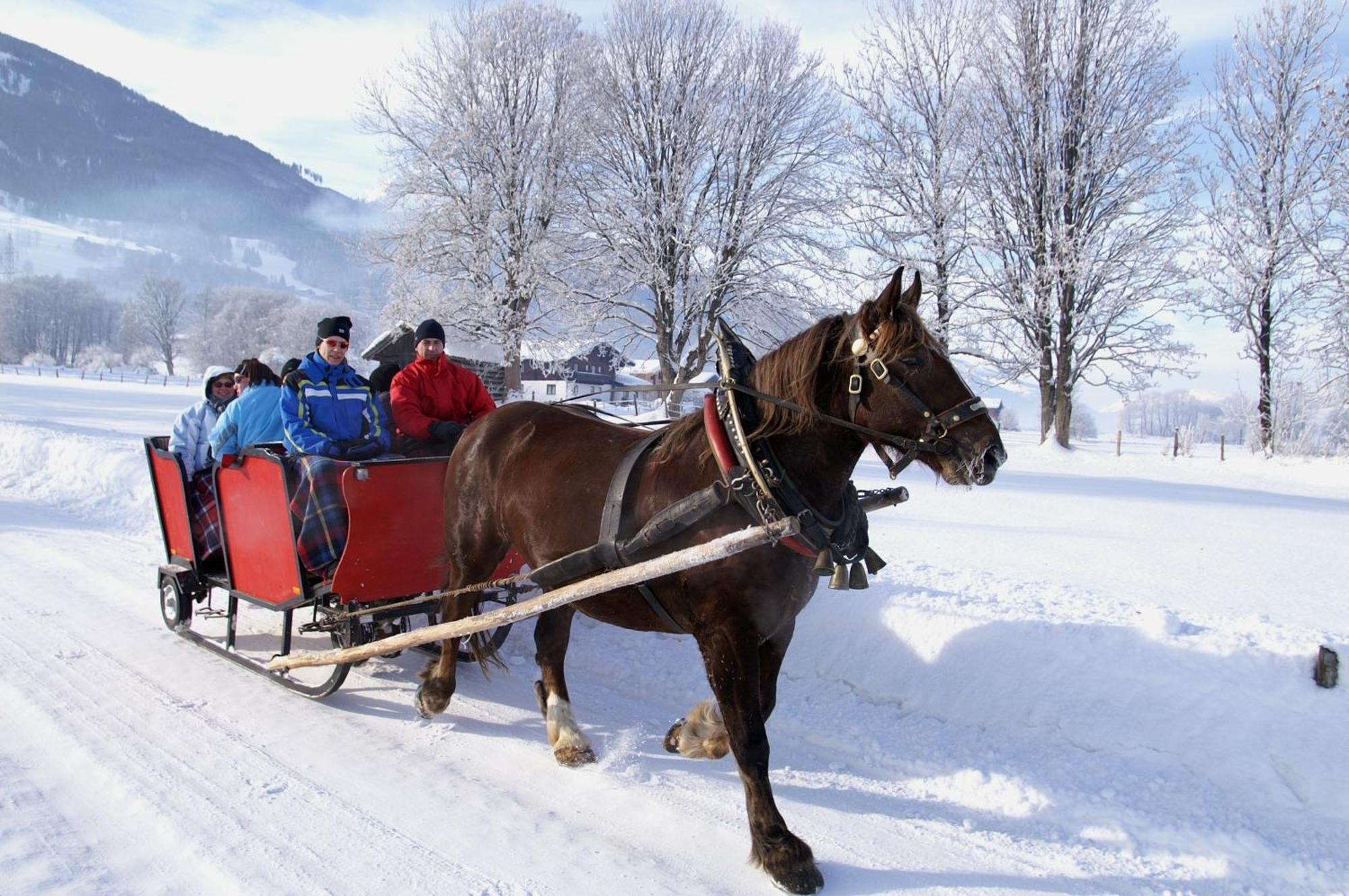 Hotel Gasthof Kroell - Inkl Nationalpark-Karte, 1 X Grossglockner Hochalpenstrasse Kostenlos, 1X Gerlos Alpenstrasse Kostenlos, Krimmler Wasserfaelle Kostenlos, Verschiedene Bergbahnen Kostenlos, Badesee Kostenlos, Bus & Zug Kostenlos, Genusskueche, นีเดิร์นซิลล์ ภายนอก รูปภาพ